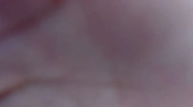 Live sex webcam photo for divaclauss #244781137