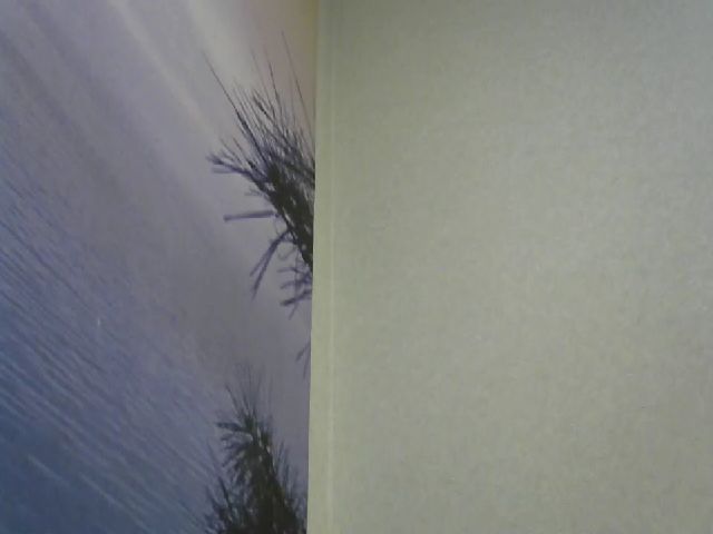 Live sex webcam photo for RachelGreen88 #252667198