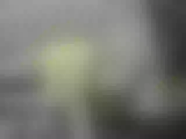 Live sex webcam photo for Misskristina #241073123