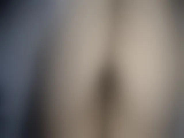 Live sex webcam photo for Nefertary #263268529