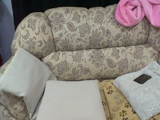Live sex webcam photo for Gabi_sexy #261851173