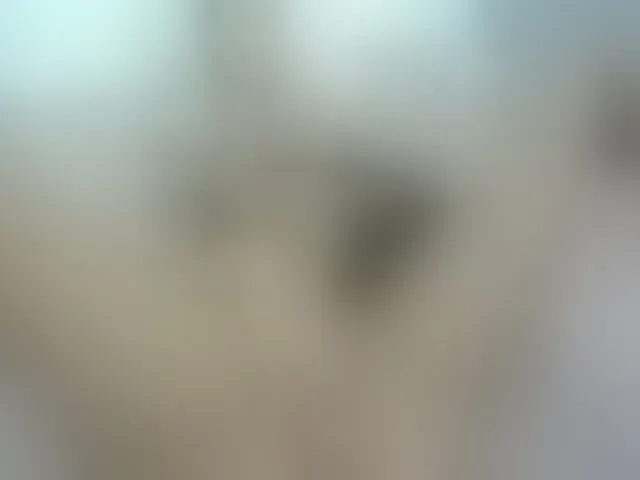 Live sex webcam photo for EVAXROSE #253921780