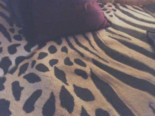 Live sex webcam photo for SexyNaturalka #265226707