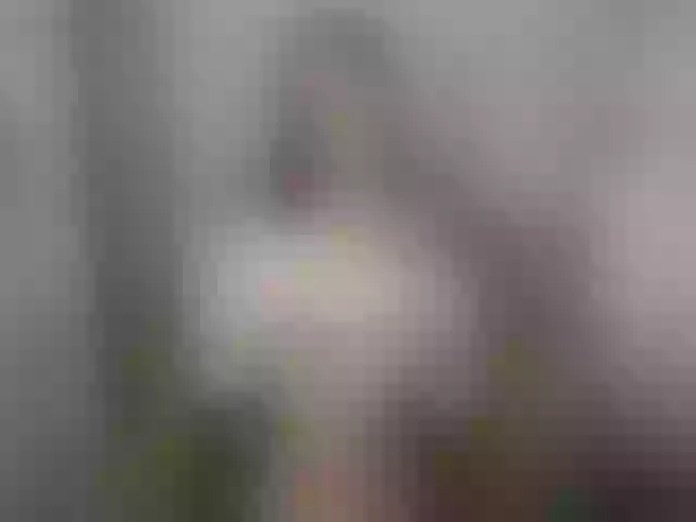 Live sex webcam photo for SensualDi18 #259106257
