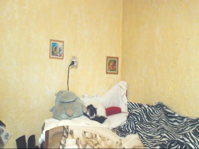 Live sex webcam photo for DeoMatissta #257239692