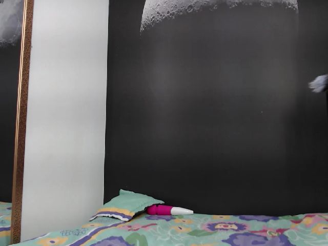 Live sex webcam photo for Louisk #264919293