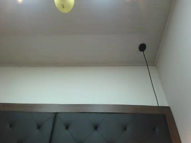 Live sex webcam photo for AnaSaenz #254905070