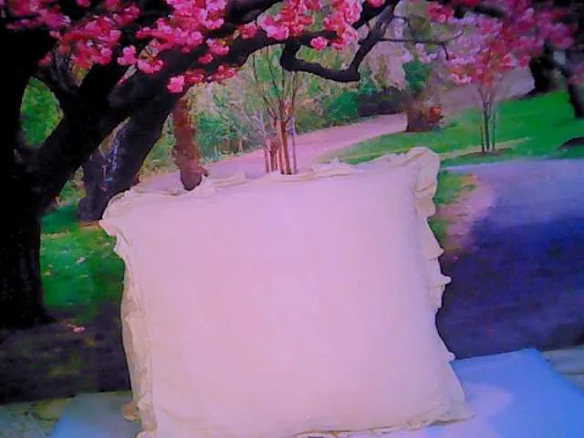 Live sex webcam photo for indianroxy #287933181