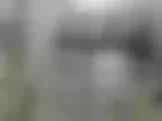 Live sex webcam photo for legsoffice #240787558
