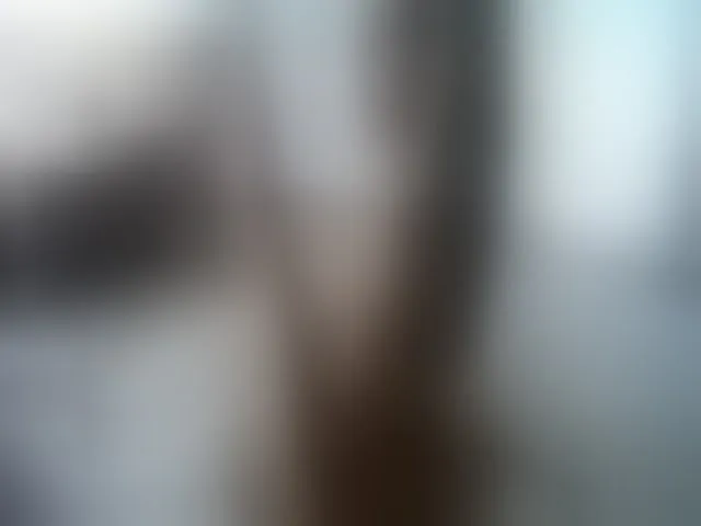 Live sex webcam photo for TeamInspire1 #262342488