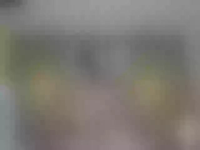 Live sex webcam photo for Miia_cox #254501430