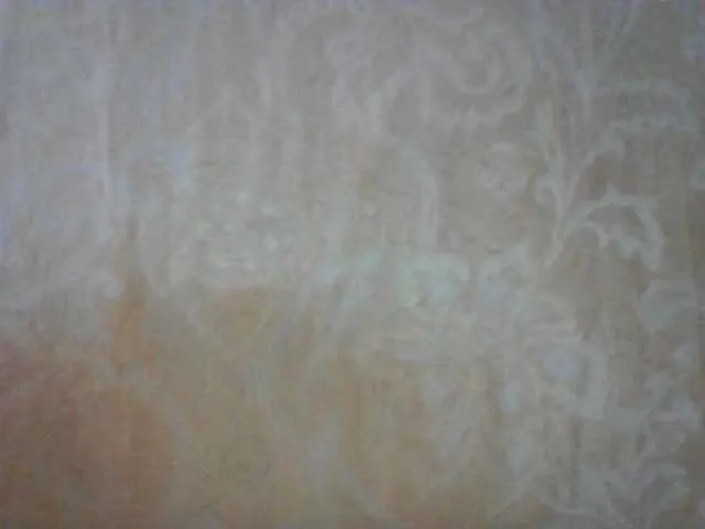 Live sex webcam photo for MillyShyness #254471394