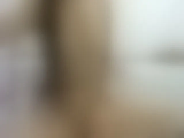 Live sex webcam photo for Msstrixxie #255640087