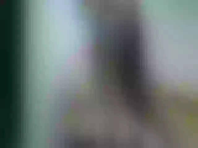 Live sex webcam photo for Alisson_brand #254205076