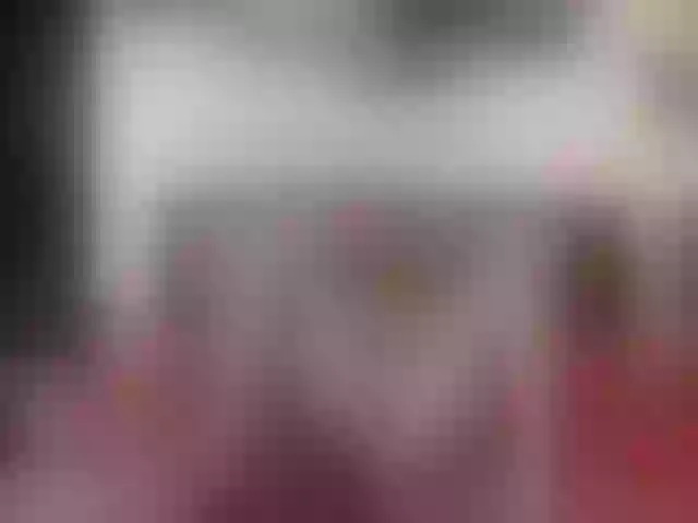 Live sex webcam photo for AylisaX #264959063