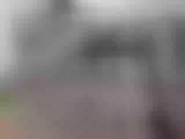 Live sex webcam photo for legsoffice #241047457