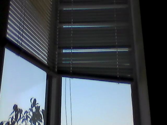 Live sex webcam photo for HotMakadamia #253341040