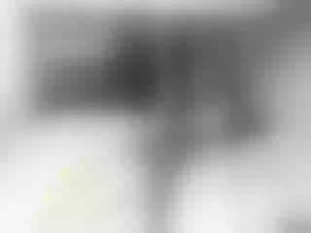 Live sex webcam photo for Nijuuyonjikan #265453275