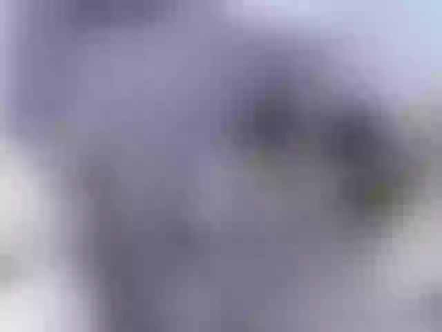 Live sex webcam photo for mariaborges #241437242