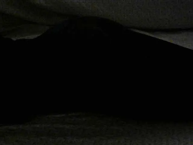 Live sex webcam photo for liZAAAZ #241257631