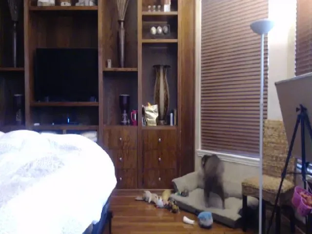 Live sex webcam photo for Autumn_Blonde #258651909