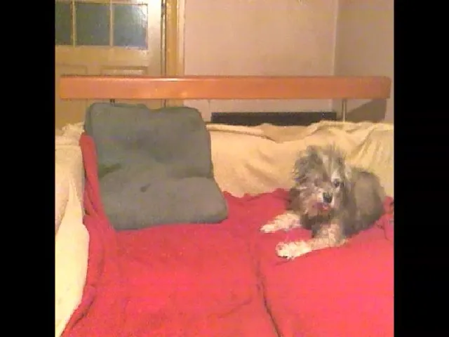 Live sex webcam photo for Lili_Mari69 #265419691