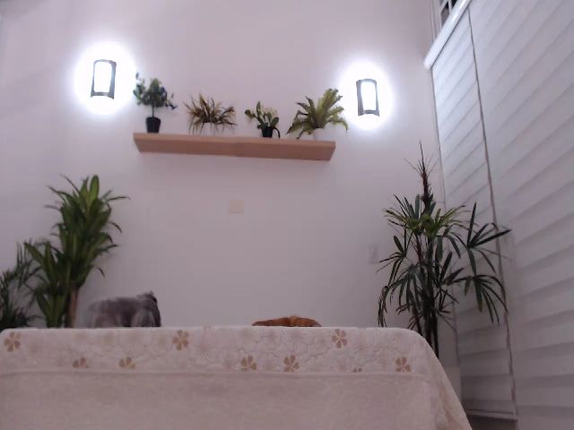 Live sex webcam photo for AngelaMar #253305954