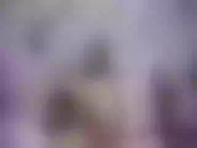 Live sex webcam photo for SexyAshley2x #253707476