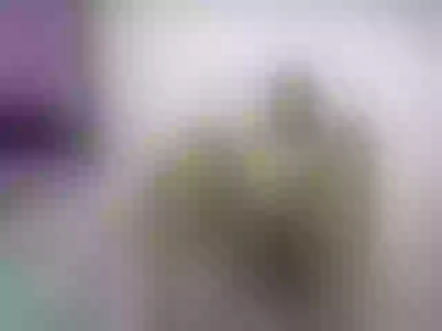 Live sex webcam photo for NoemiDavis #259296926