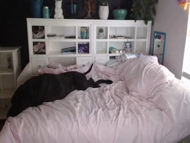 Live sex webcam photo for SweetNSouthrn #252798995