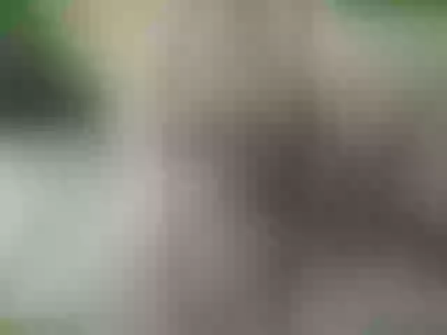 Live sex webcam photo for PureEmanuelle #264062082