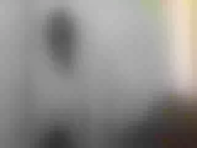 Live sex webcam photo for LaraDark #255578676