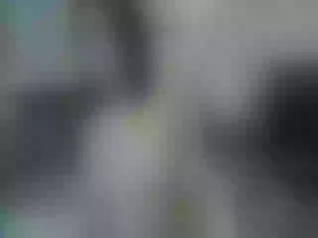 Live sex webcam photo for HempleyJones #262742728