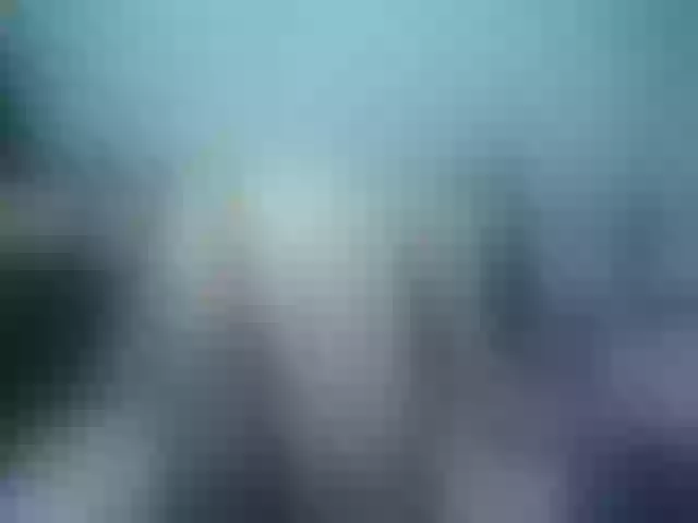 Live sex webcam photo for Girlhornyx20 #258871254