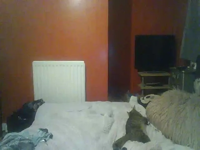 Live sex webcam photo for YUMMYMUMMY39 #264626899
