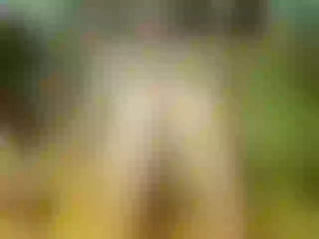 Live sex webcam photo for Luiziana111 #245427708