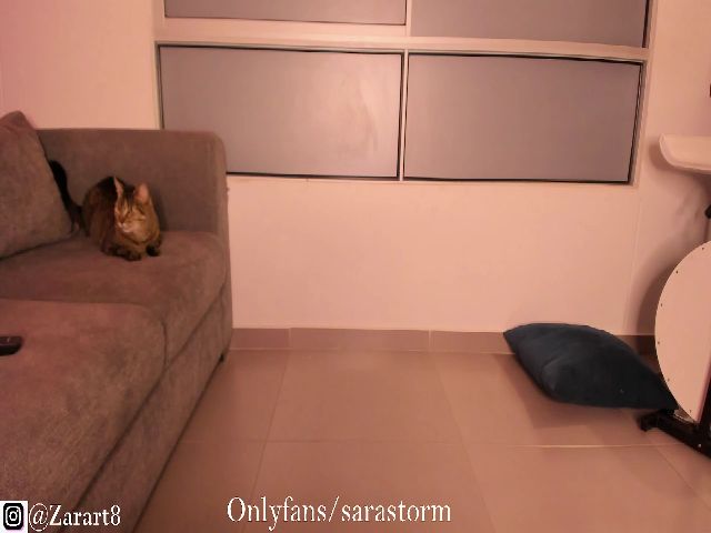 Live sex webcam photo for SaraStormm #265303080