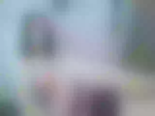 Live sex webcam photo for LorryLay #253848295