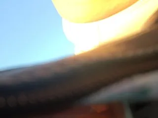 Live sex webcam photo for Prurient-Gem #240672722