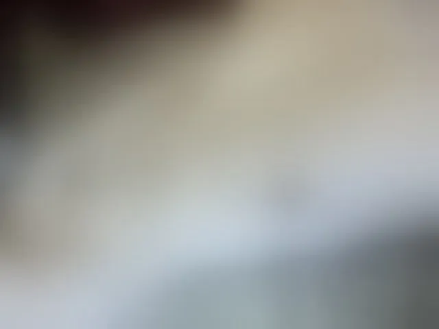 Live sex webcam photo for -Daiquiri- #254318444