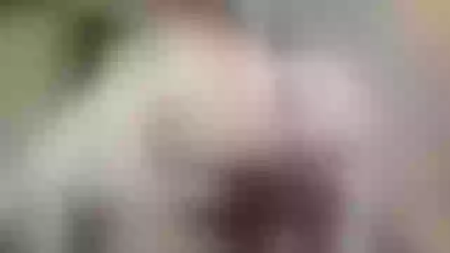Live sex webcam photo for krsksks #242258485