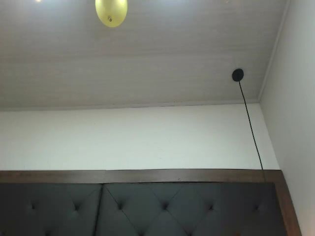 Live sex webcam photo for AnaSaenz #254988955