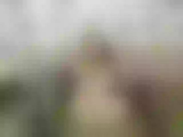 Live sex webcam photo for milli1983 #247284110