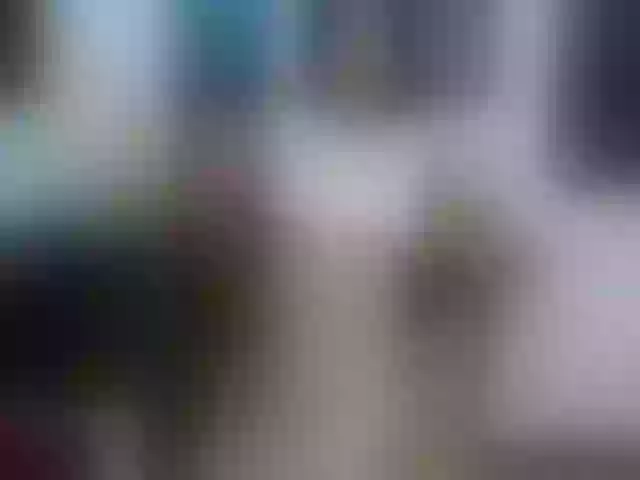 Live sex webcam photo for Lina_Ross #261445094