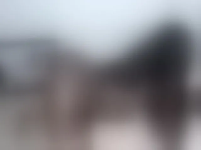 Live sex webcam photo for Leidysautss #263283500