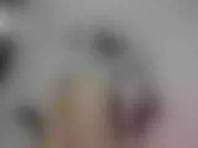 Live sex webcam photo for Alexajr #259644415