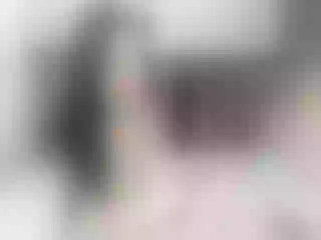 Live sex webcam photo for Nijuuyonjikan #253363361