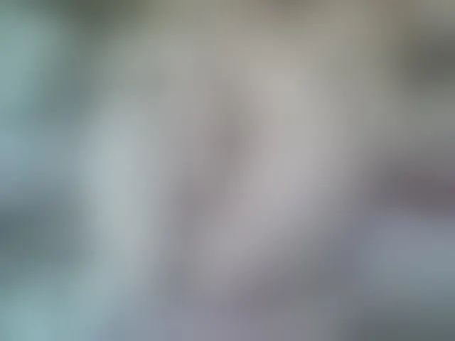Live sex webcam photo for ElssaJohnson #263573098