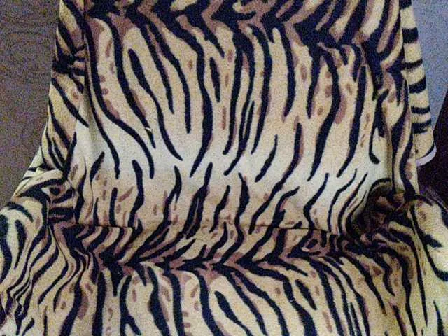 Live sex webcam photo for NigtBaterfly #241123557