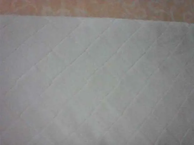 Live sex webcam photo for MillyShyness #245275235